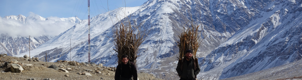 Dois asiáticos estão andando em uma estrada vazia de frente para quem bateu a foto e carregando, cada um, uma vasta vegetação nas costas. Ao fundo, notamos montanhas com neve