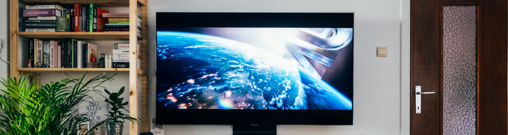 A imagem mostra uma sala de estar com uma estante com livros, planta e uma televisão ligada