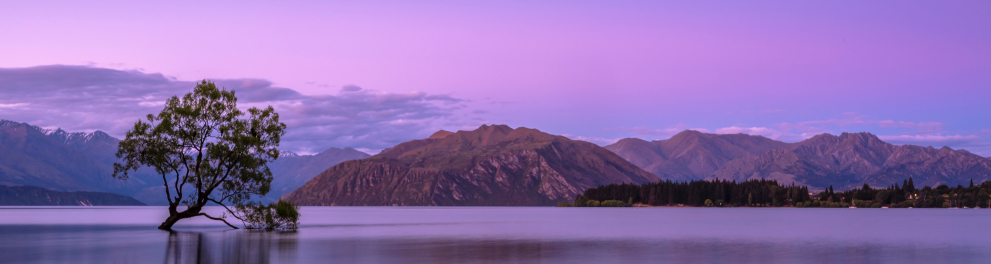 Bela paisagem de um lago com uma árvore com parte do tronco e raiz dentro do lago. Ao fundo, pequenas montanhas