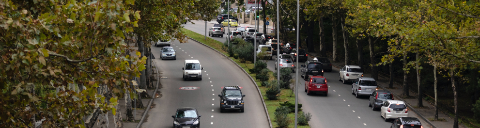 Uma imagem aérea de uma avenida, com carros andando em um sentido em uma pista e em outro sentido na pista ao lado. Também notamos arborização vasta nas laterais e no centro, separando as duas pistas