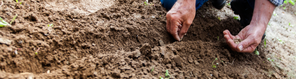 Um homem ajoelhado está mexendo em um solo terroso, possivelmente adequado para o plantio de vegetais