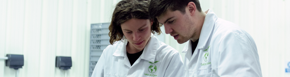 Dois cientistas estão analisando uma vegetação em laboratório