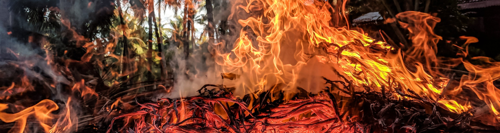 Um incêndio florestal