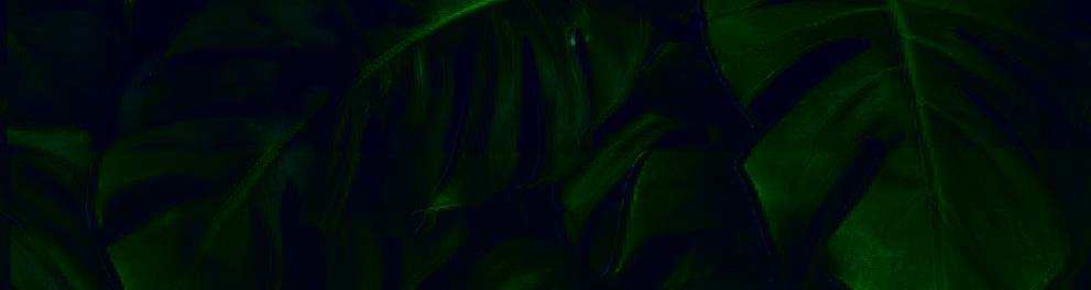 Folhas grandes e verdes