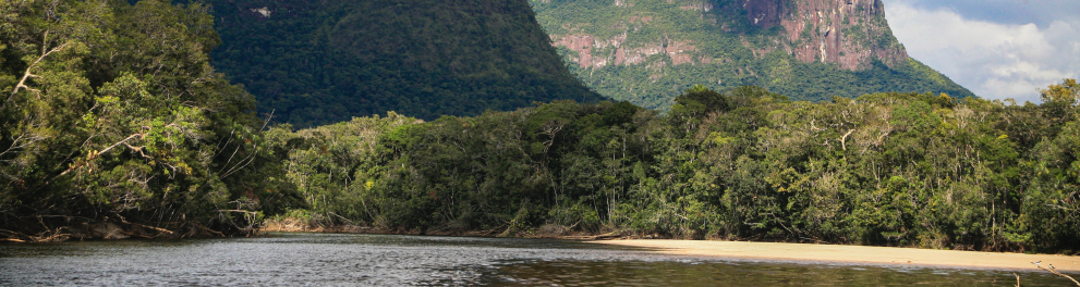 Uma floresta com montanhas ao fundo e um rio na frente