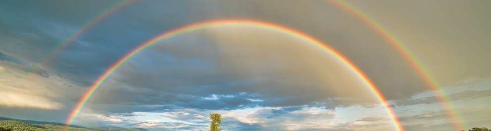 Um arco-íris em meio a natureza.