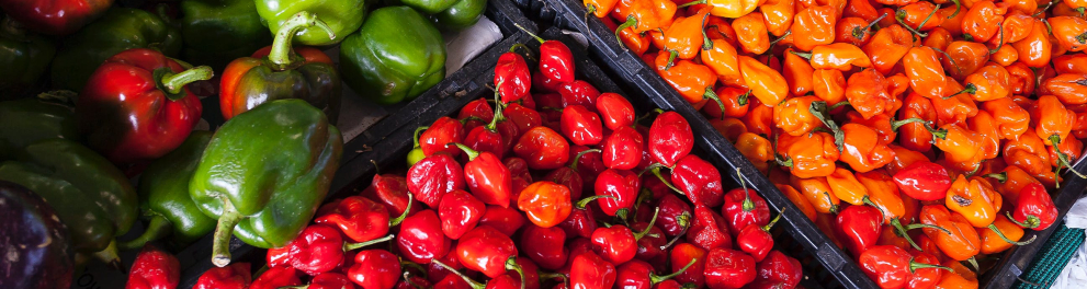4 legumes diferentes separados por caixotes pretos