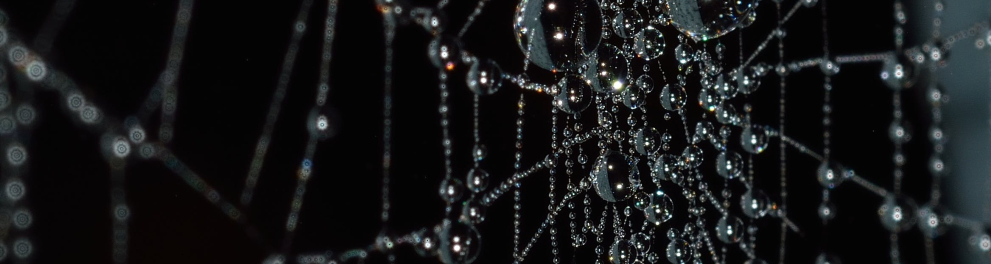 Teia de aranha