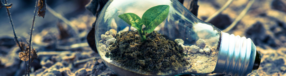 Solo seco com uma lâmpada contendo uma planta nascendo.