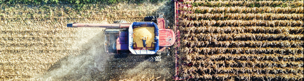 Trator agrícola retirando passando em área de plantio.