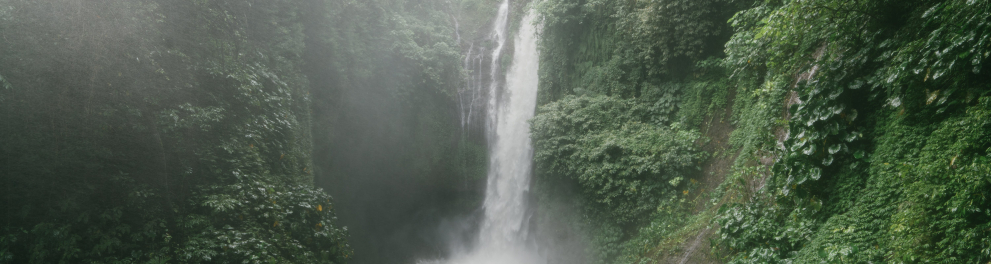Paisagem com uma floresta, uma cachoeira e um céu cinza.
