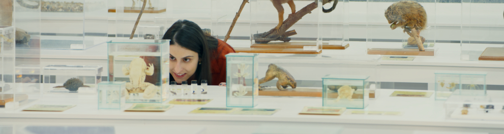 Uma pesquisadora em um laboratório