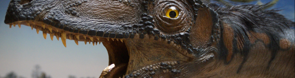 A cabeça de um dinossauro