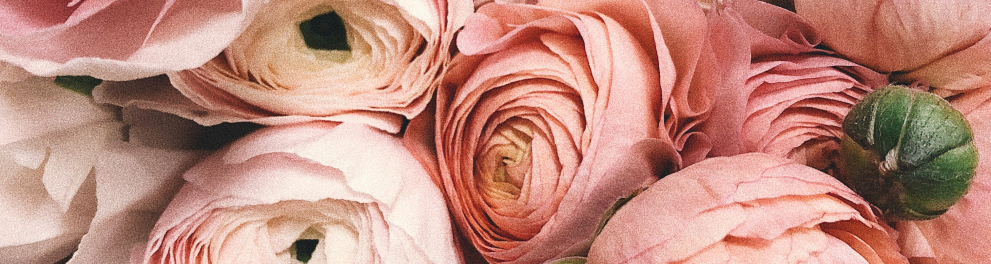 Várias flores juntas