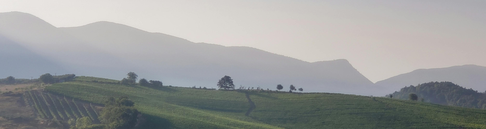 Cerrado