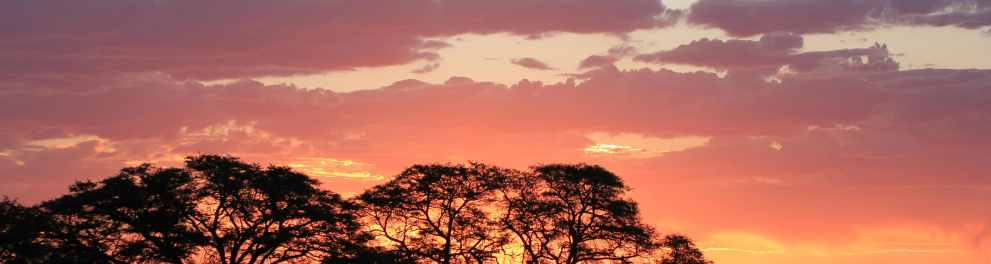 Cerrado