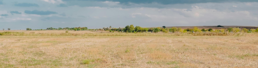 Cerrado