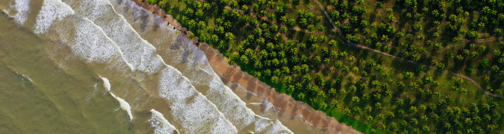 A imagem mostra parte do mar no brasil