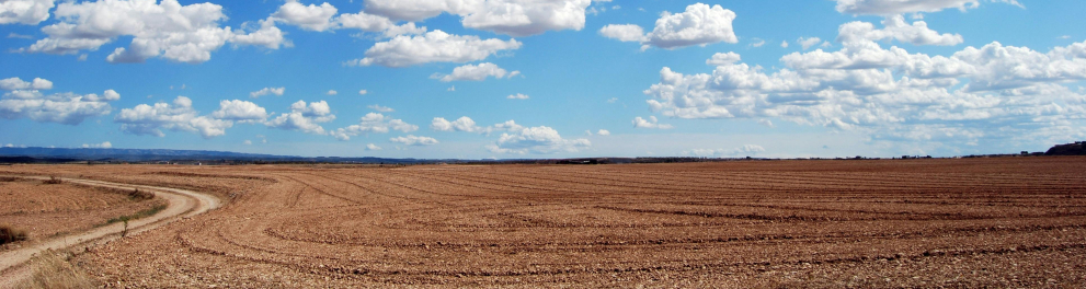 Zona rural