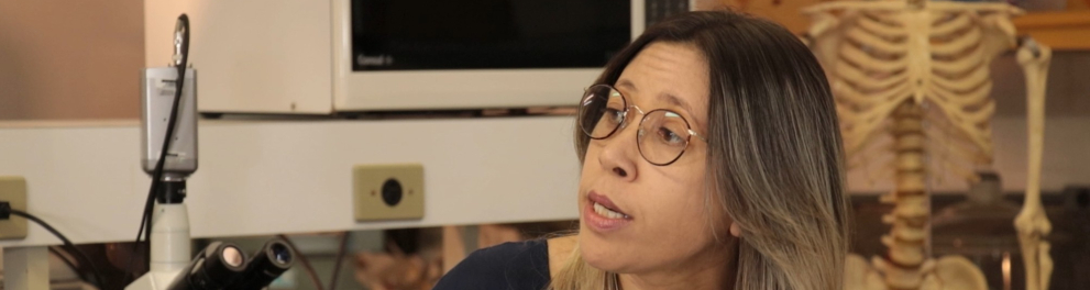 Imagem do episódio Doenças parasitárias da série Biologando