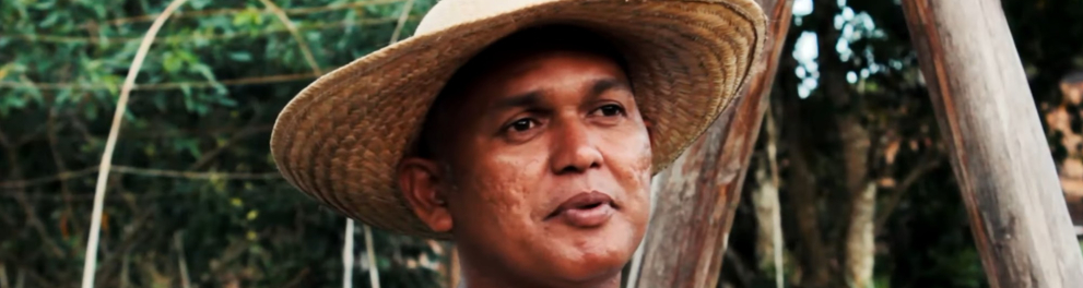 Imagem do episódio Ritmo das ilhas - Interprograma da série Sou Carimbó