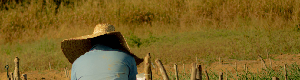 Imagem do episódio Filhos do Sol da série Curtas co.liga