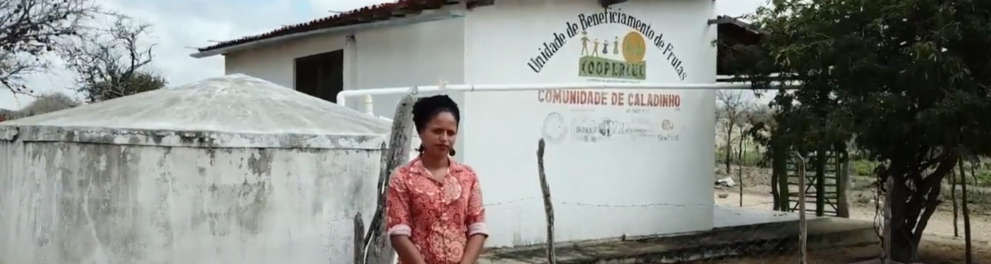 Imagem do episódio Força e Coragem da série Natureza Forte