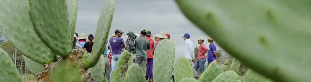 Imagem do episódio Educar para Florescer da série Natureza Forte