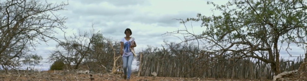 Imagem do episódio Fundo de Pasto da série Natureza Forte