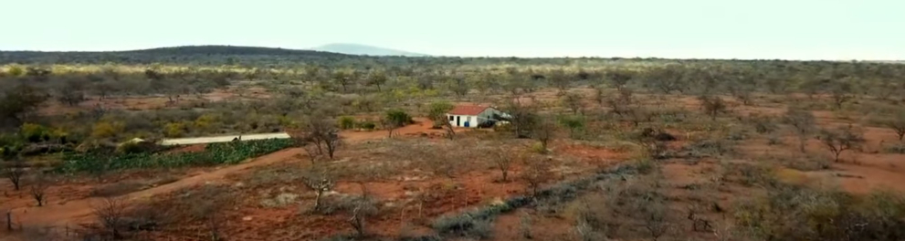 Imagem do episódio Recaatingamento da série Natureza Forte
