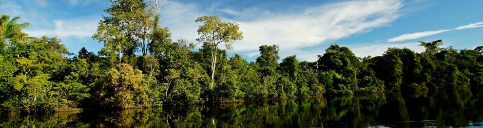 amazonia