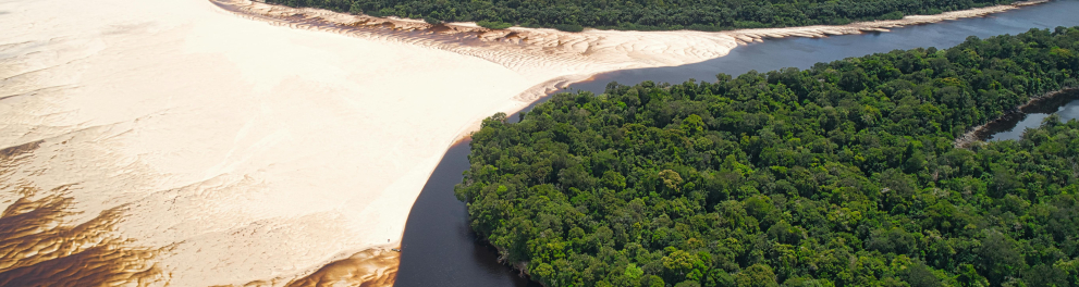 amazonia 