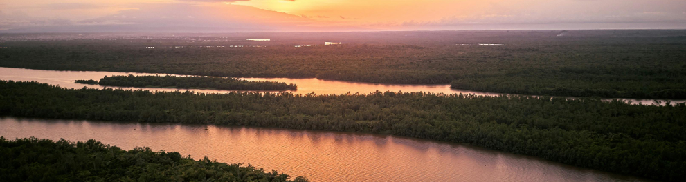 amazonia 