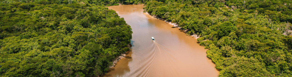 amazonia 