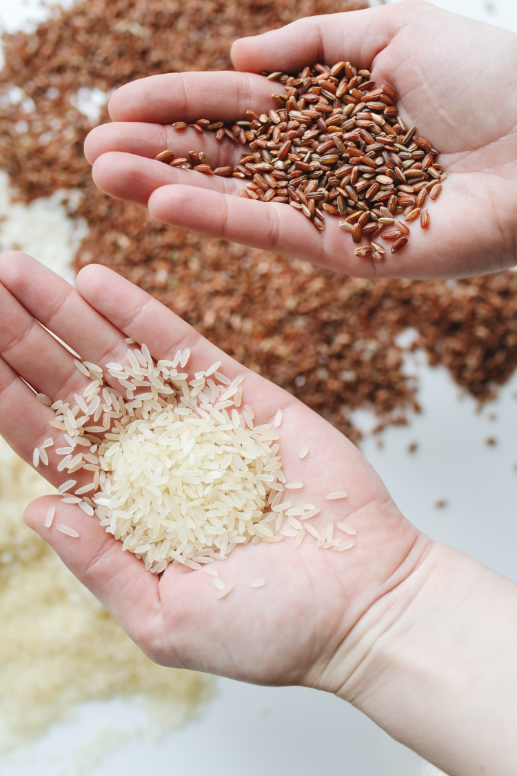 As mãos de uma pessoa branca com grãos diferentes. Na mão esquerda há arroz branco e na mão direita há uma espécie de arroz vermelho