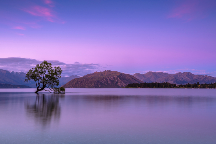 Bela paisagem de um lago com uma árvore com parte do tronco e raiz dentro do lago. Ao fundo, pequenas montanhas