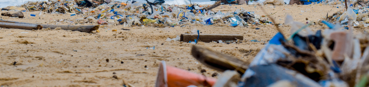 Muito lixo acumulado na areia de uma praia