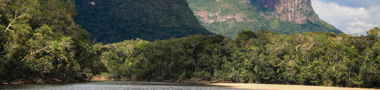 Uma floresta com montanhas ao fundo e um rio na frente