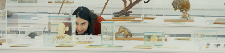 Uma pesquisadora em um laboratório