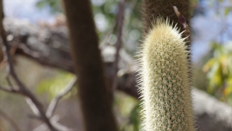 Bastidores das gravações