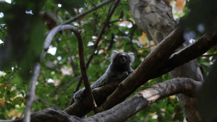 Bastidores das gravações