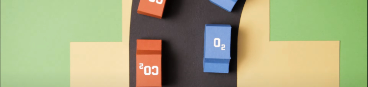 Imagem do episódio Sufocação da série Primeiros Socorros nas Escolas