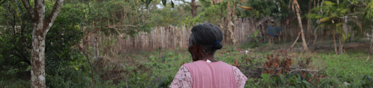 Imagem do episódio A nossa festa já vai começar da série Curtas co.liga