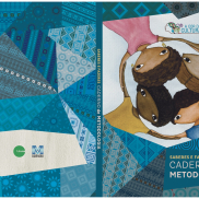 Capa de livro